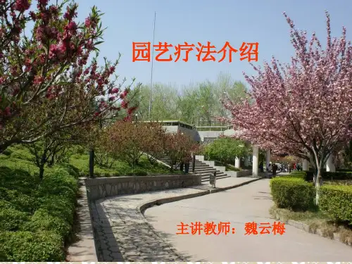 园艺疗法介绍