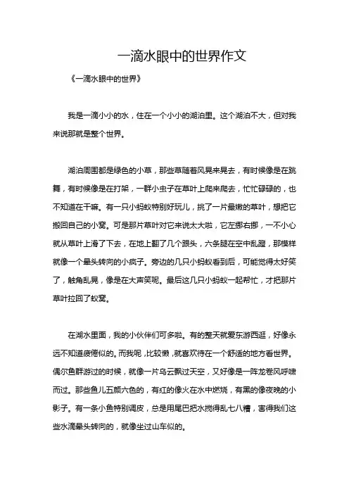 一滴水眼中的世界作文