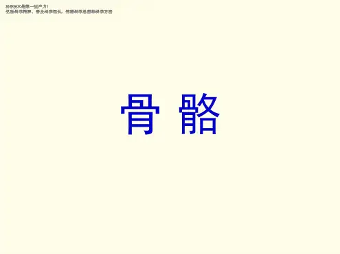 四年级下册科学教学课件1骨骼课件1苏教版