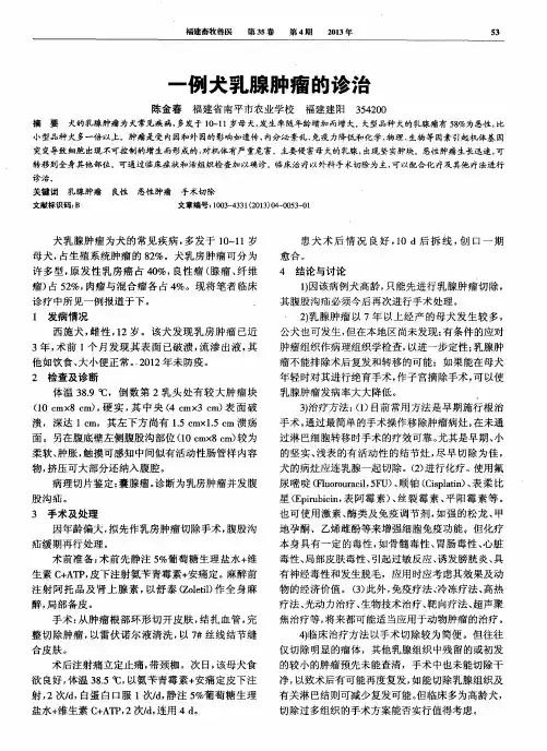 一例犬乳腺肿瘤的诊治