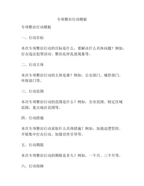 专项整治行动模板