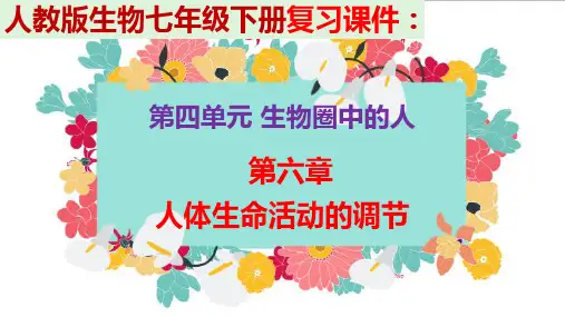 人教版生物七年级下册  第四单元 第六章  人体生命活动的调节复习课件
