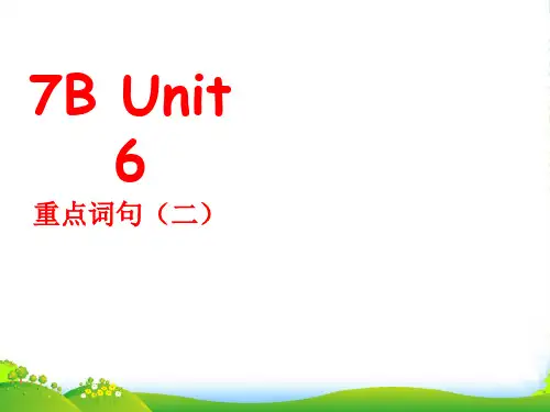 牛津译林版七年级英语下册Unit 6 重点词句复习(共6张PPT)-课件