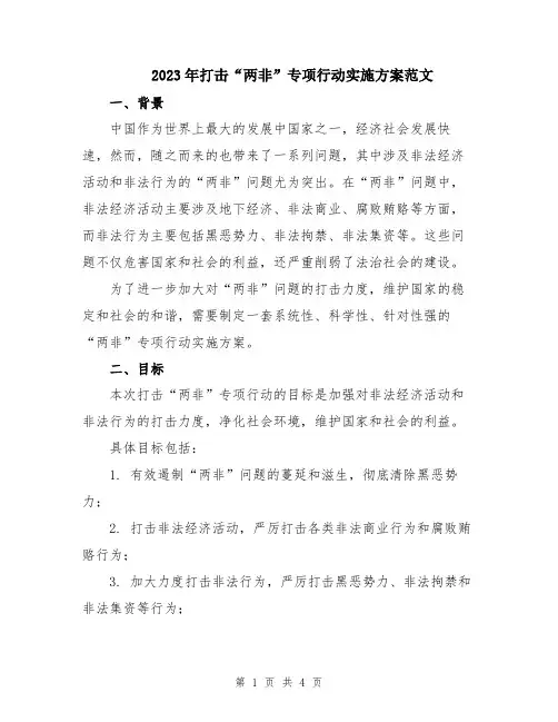 2023年打击“两非”专项行动实施方案范文