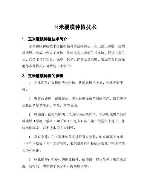 玉米覆膜种植技术