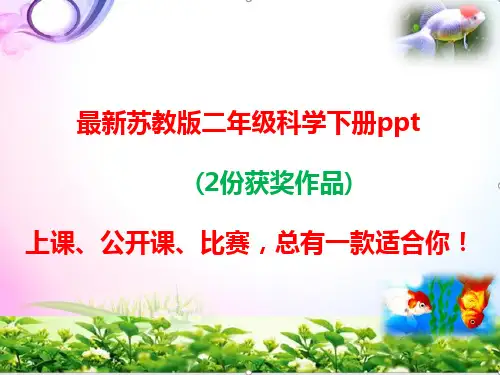 最新2019苏教版二年级下册科学3.神奇的新材料ppt课件【2套参赛作品】