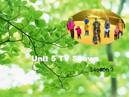 五年级英语 unit 5 tv shows(lesson 3)人教起点小学五年级英语