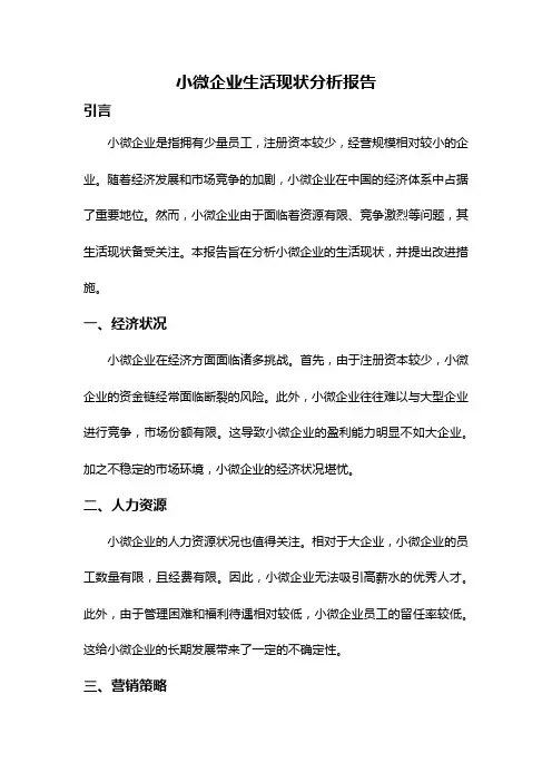 小微企业生活现状分析报告