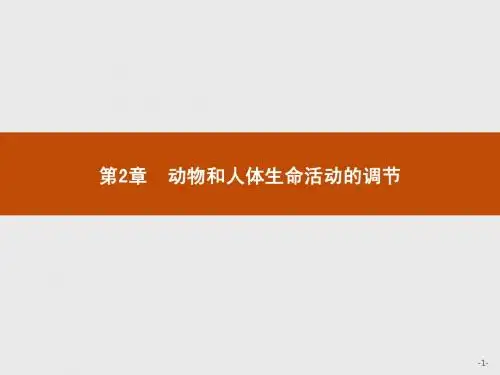 通过神经系统的调节