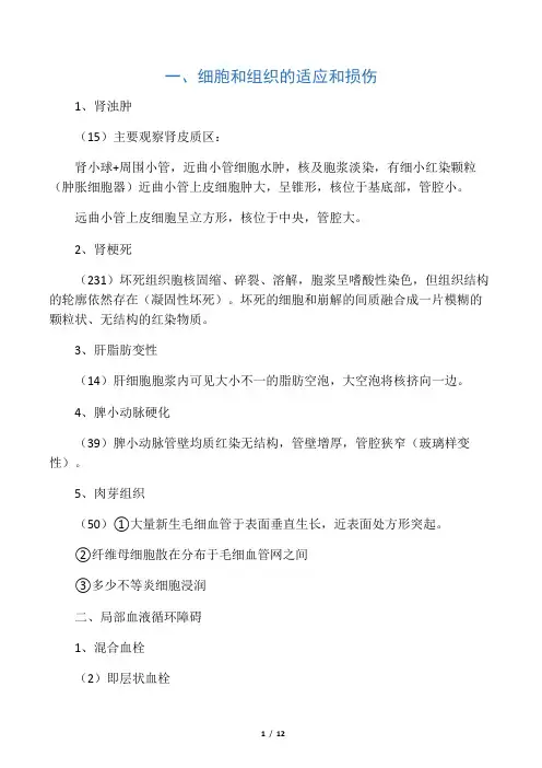 河北医科大学病理切片考试(直走青春总结)