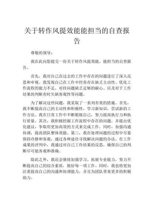 关于转作风提效能能担当的自查报告