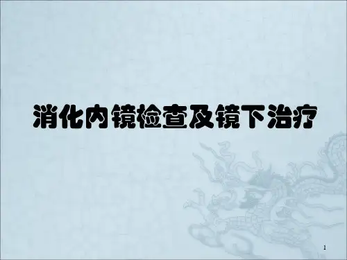 消化道内镜检查及镜下治疗PPT课件
