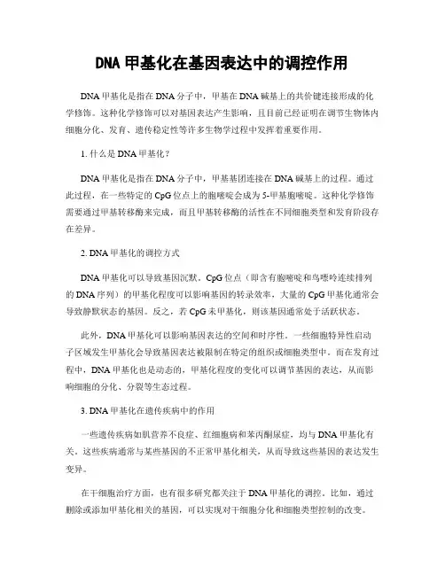 DNA甲基化在基因表达中的调控作用