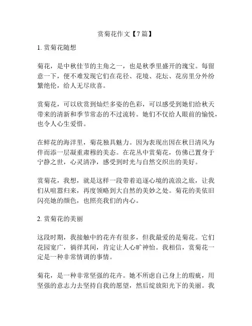 赏菊花作文【7篇】