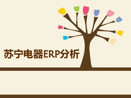 苏宁电器ERP分析PPT课件