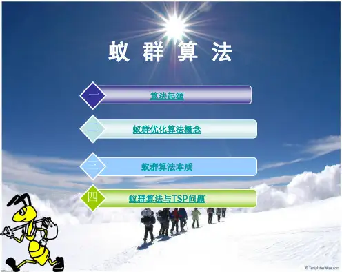 优化设计-蚁群算法