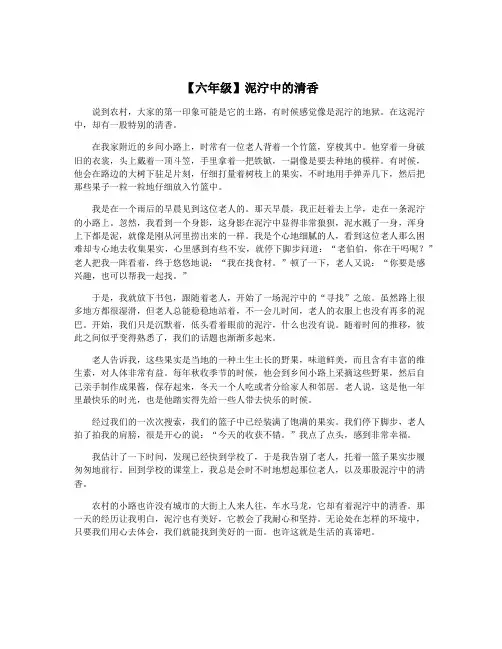 【六年级】泥泞中的清香