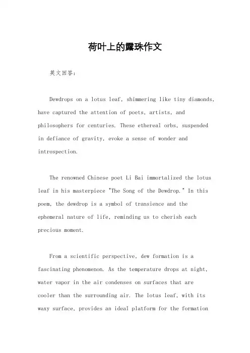 荷叶上的露珠作文