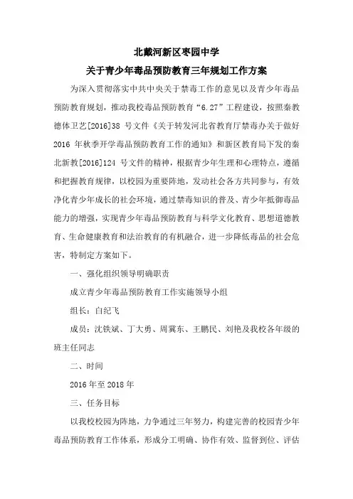 青少年毒品预防教育三年规划工作方案word参考模板