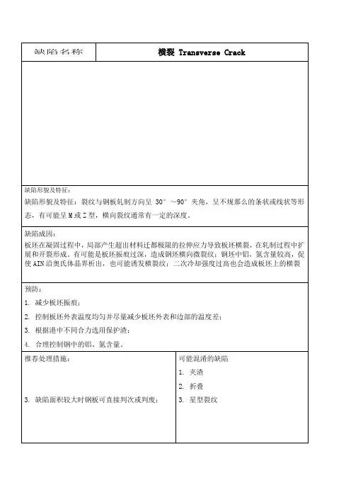 缺陷图谱_精品文档