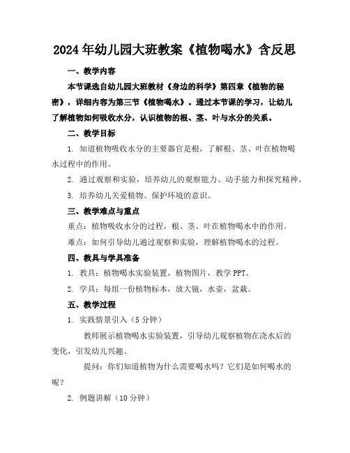 2024年幼儿园大班教案《植物喝水》含反思