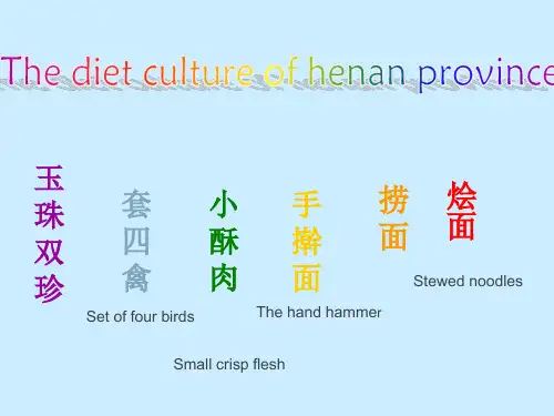 河南饮食英文版