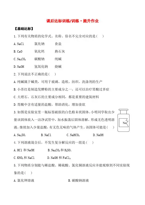 初中化学九年级下册课后达标训练《生活中常见的盐》练习题 附加答案