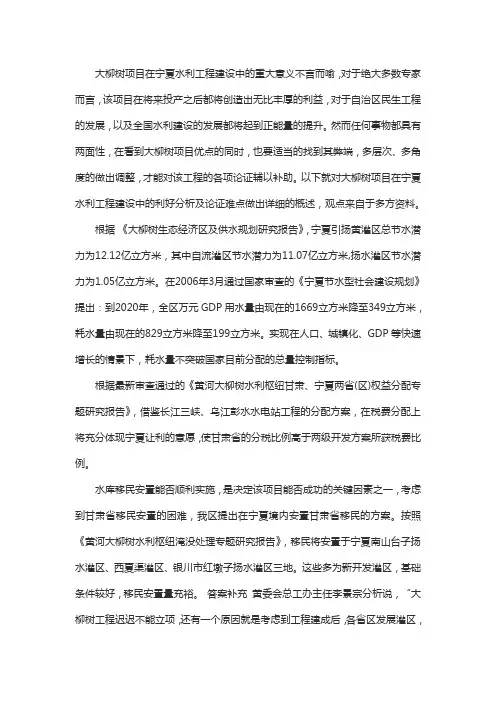 重点水利工程大柳树项目简述
