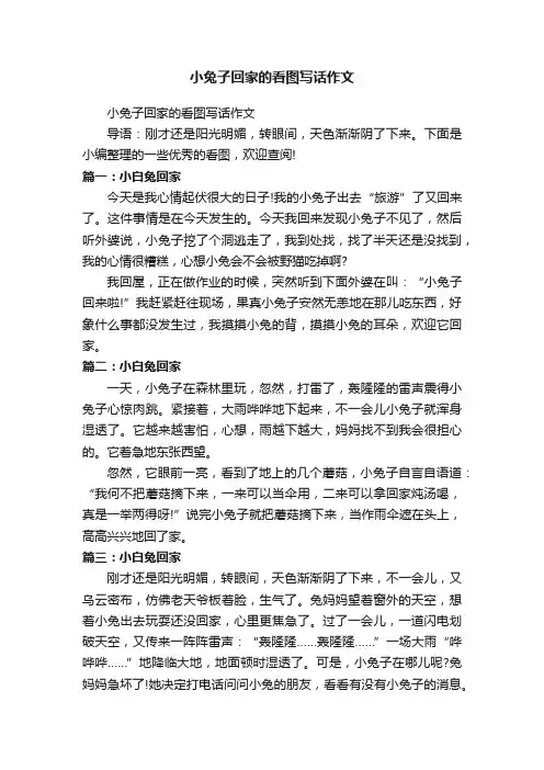 小兔子回家的看图写话作文