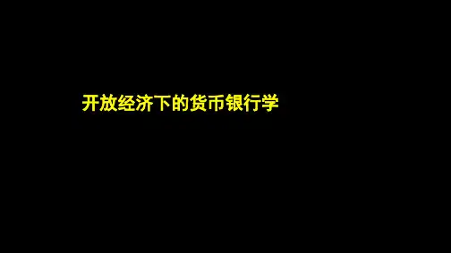 第14章  开放经济下的货币银行学  《货币银行学》PPT课件