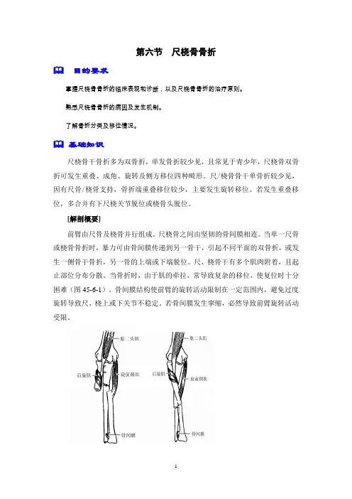 外科学编写(尺桡骨骨折)