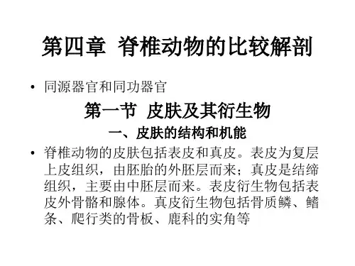 高中生物奥赛脊椎动物各系统的比较