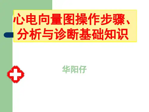 心电图-心电向量图 图解19919