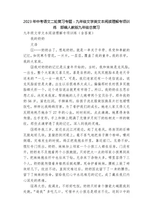 2023年中考语文二轮复习专题：九年级文学类文本阅读理解专项训练--部编人教版九年级总复习