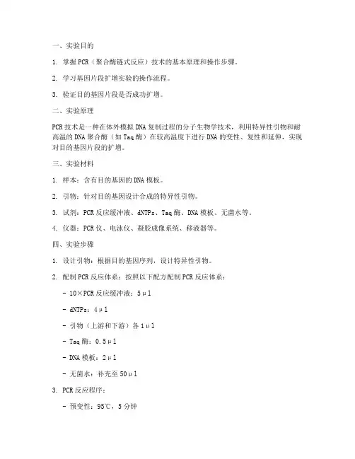 基因片段扩增实验报告