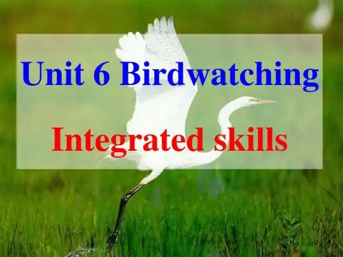 unit 6 Birdwatching Integrated skills(共19张PPT)课件(牛津版八年级上册)