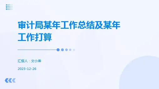 审计局某年工作总结及某年工作打算