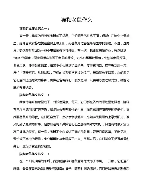 猫和老鼠作文 2