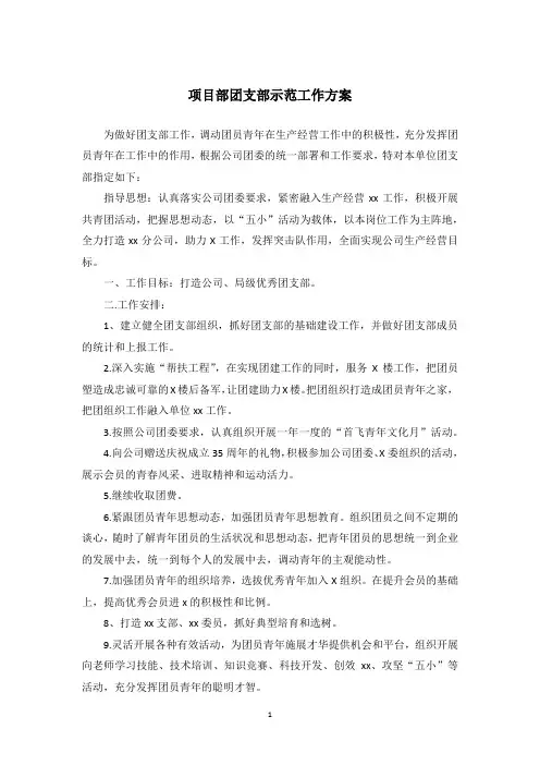 项目部团支部示范工作方案