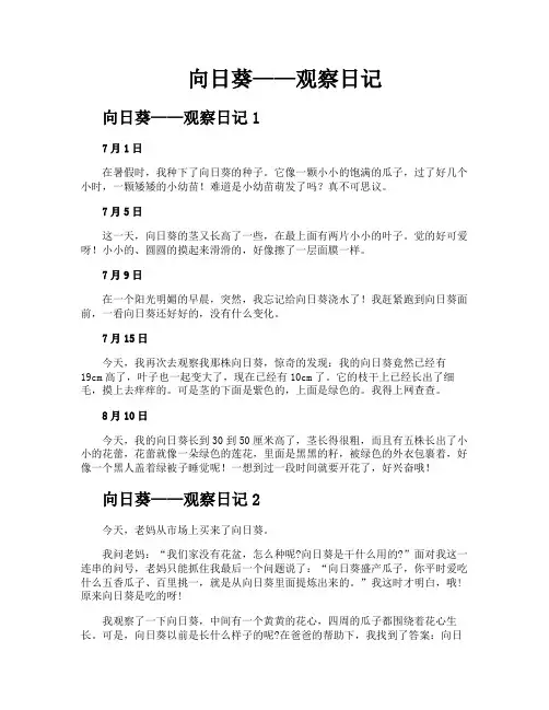 向日葵——观察日记