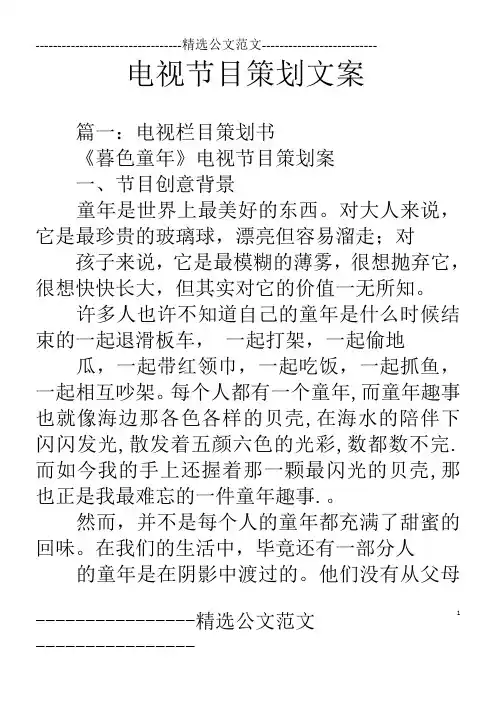电视节目策划文案