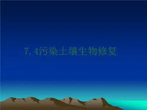 最新7.4污染土壤生物修复ppt课件