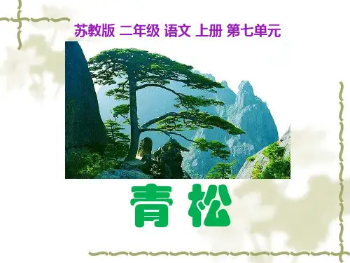 《青松》苏教版二年级语文上册课件ppt(4篇)