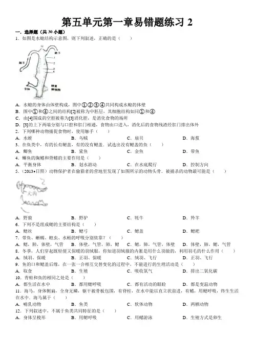 八年级上册生物第五单元第一章易错题练习2