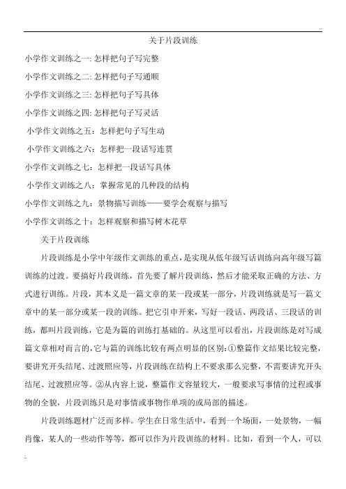 小学作文片段训练