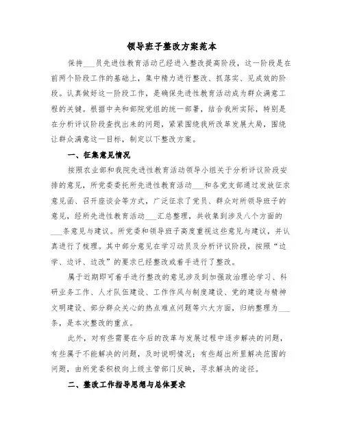 领导班子整改方案范本(2篇)