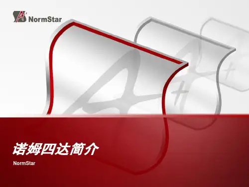 NorStar公司及标准化测评业务简介