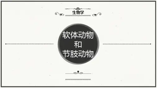 人教版八年级上册第一章第三节 软体动物和节肢动物课件(21张ppt)