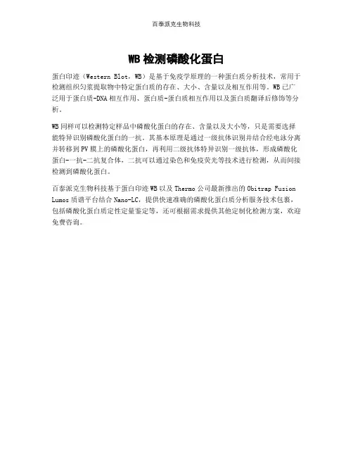 WB检测磷酸化蛋白