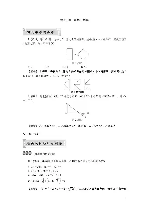 24.数学  第21讲 直角三角形